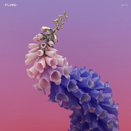 FlumeTakeAChanceCover